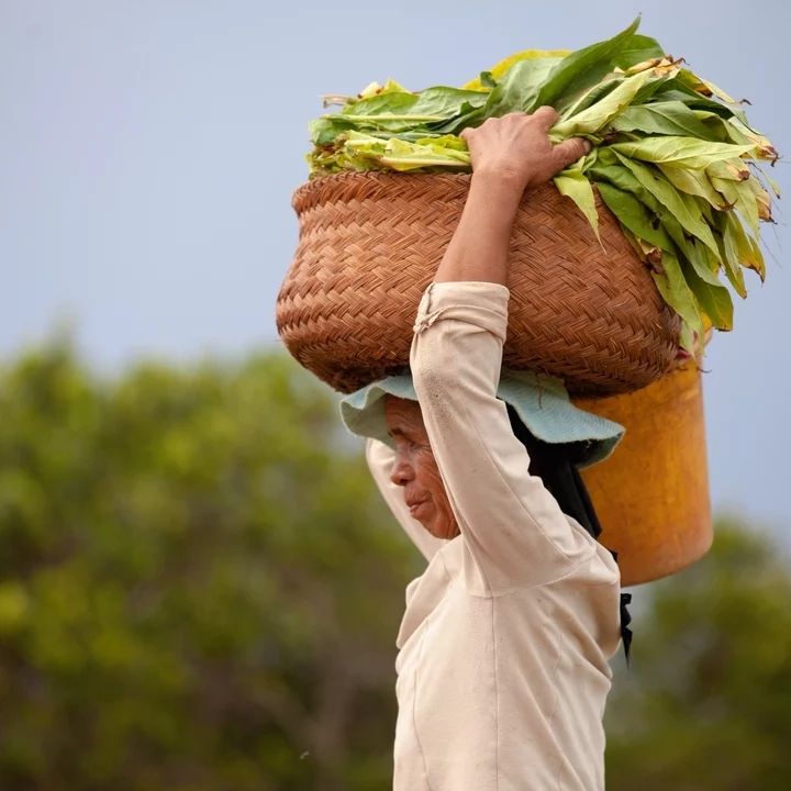 283694016_184912887208860_4313418978346340152_n