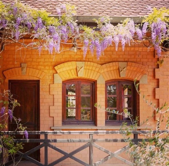 286222447_1475915069534003_651715646410993257_n