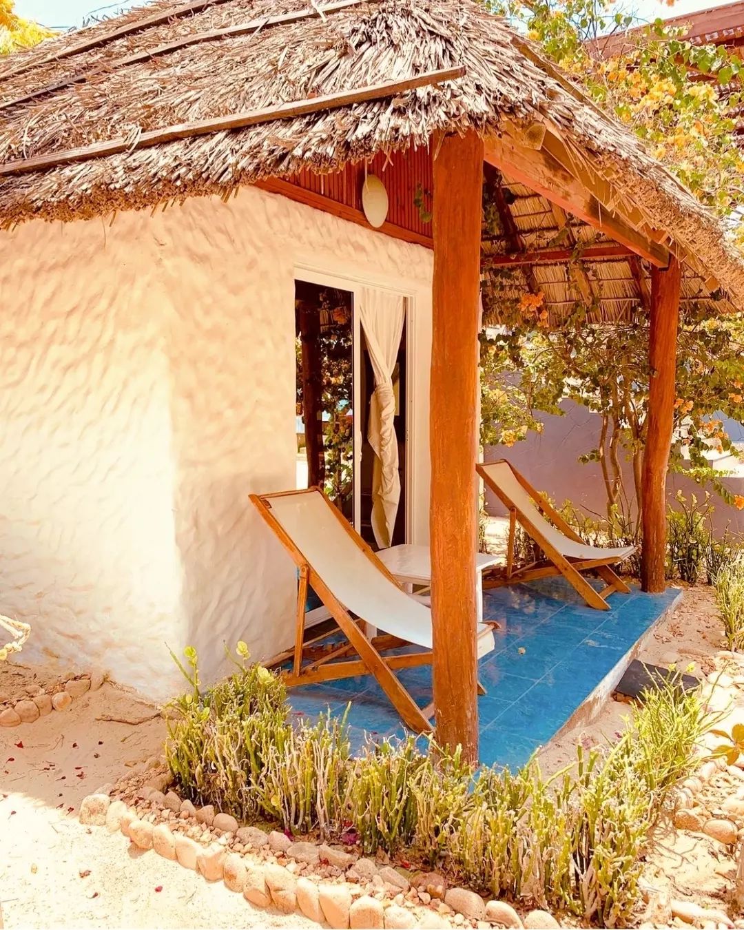 312012202_1151539568902149_9127981444268210040_n