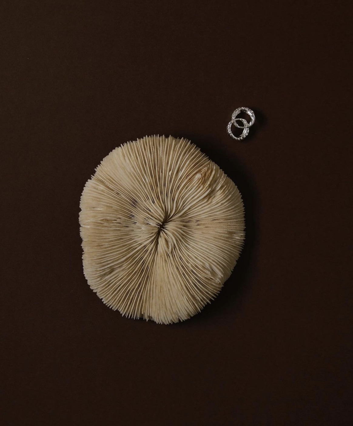 スクリーンショット 2024-06-25 11.19.56